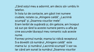 BANC | "Când soțul meu a adormit, am decis să-i umblu în telefon"