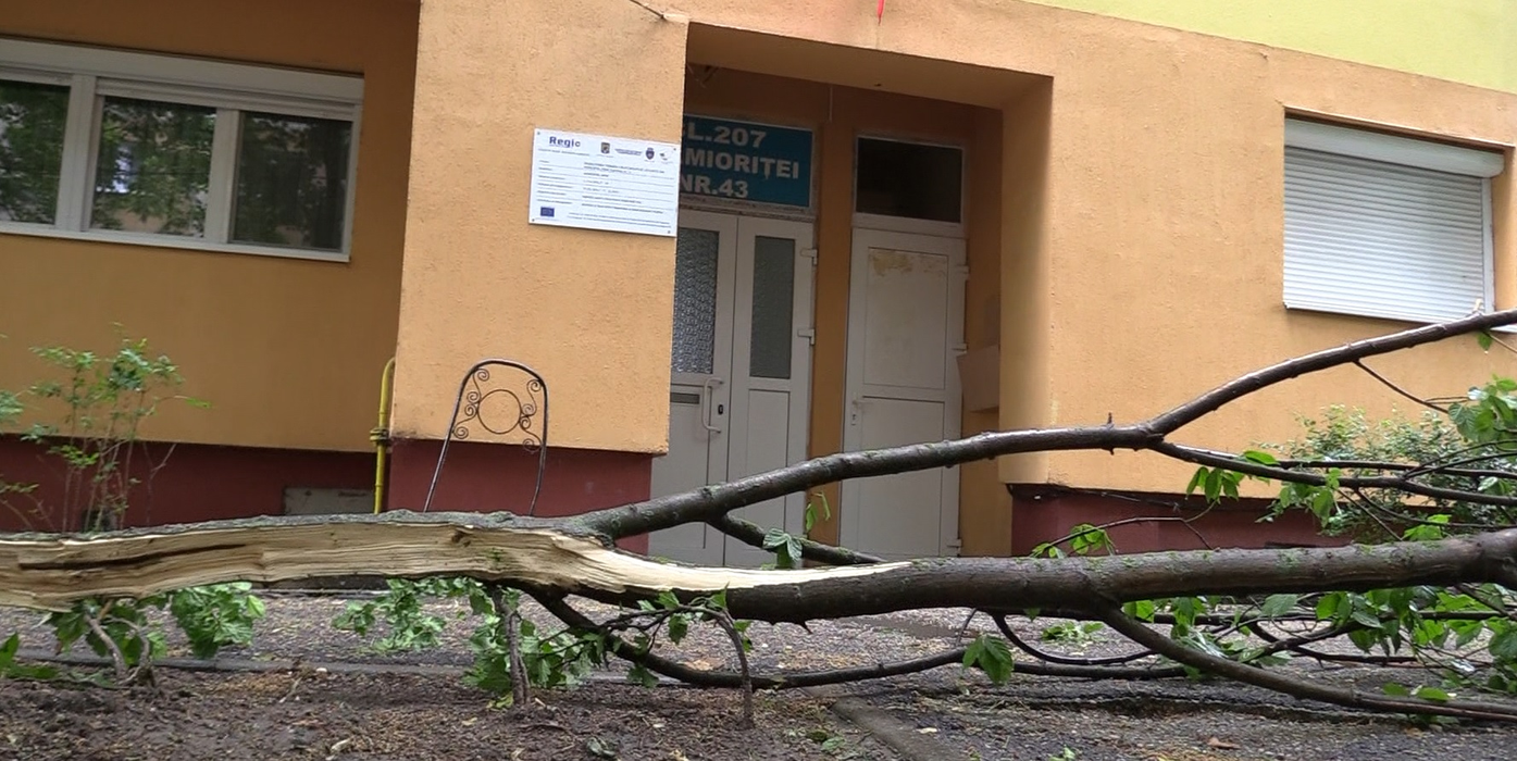 Furtuna a provocat haos în Arad