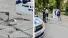 Monumentul lui Michael Jackson din Herăstrău, VANDALIZAT! Autoritățile au fost imediat sesizate