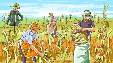 Test de logică | În această fotografie s-au strecurat 4 greșeli. Le puteți găsi pe toate?