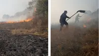 Incendiu puternic în Dolj. Există pericolul ca focul să cuprindă o pădure - VIDEO