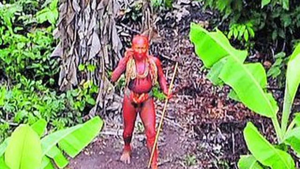 Traficantii de droguri au determinat disparitia unui trib din Amazon, descoperit recent in Brazilia