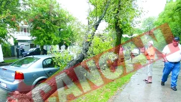 Vantul puternic a facut ravagii In Capitala