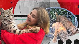 Cu ce afacere exotică a dat lovitura o româncă. Crește râși la Ștefăneștii de Jos, iar un exemplar costă mii de euro. Cumpărătorii, trecuți pe liste de așteptare