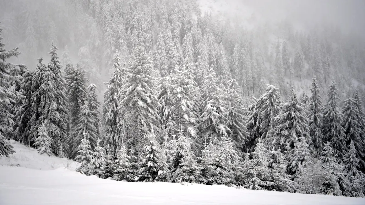 Informația care dă peste cap ancheta în cazul lui George, tânărul dispărut în Munții Bucegi. Salvamontiștii din Brașov au făcut totul public!