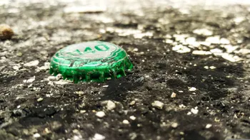 Cum se sărbătorește Ziua Pământului în marile orașe: Acțiuni de ecologizare și activități pentru copii