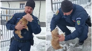 Un jandarm din Iași a salvat un cățeluș îngropat în zăpadă. Gestul care a emoționat tot internetul: „L-a uscat și l-a dus într-un loc cald”