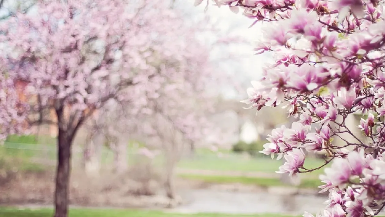 Vremea în România, 10 aprilie. ANM a anunțat ce temperaturi se vor înregistra astăzi