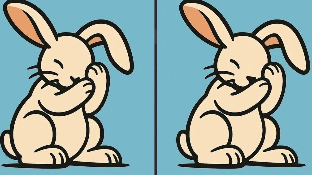 Test de perspicacitate | Acești doi iepurași par identici, dar nu sunt. Identificați cele 3 diferențe!