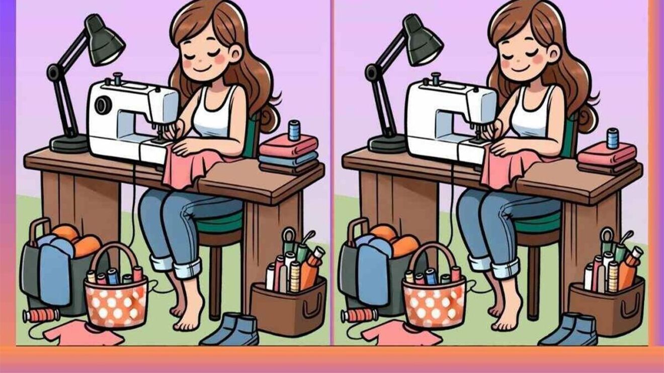 Test de perspicacitate | Găsiți toate cele 3 diferențe dintre aceste două poze!