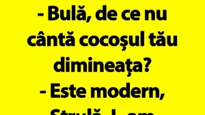 BANC | Cocoșul modern al lui Bulă