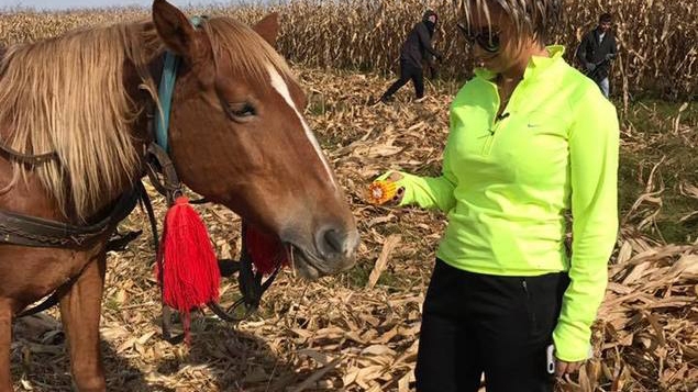 ANAMARIA PRODAN, afacere incredibilă! Impresara şi soţul ei deţin o fermă de porci foarte rari în România!