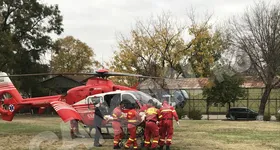 Galerie foto - poza 3