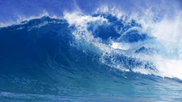 In viata dupa 50 de zile de naufragiu in Pacific