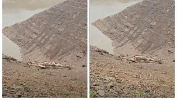 Descoperire uimitoare pe fundul Lacului Vidraru. O barcă a fost găsită după zeci de ani