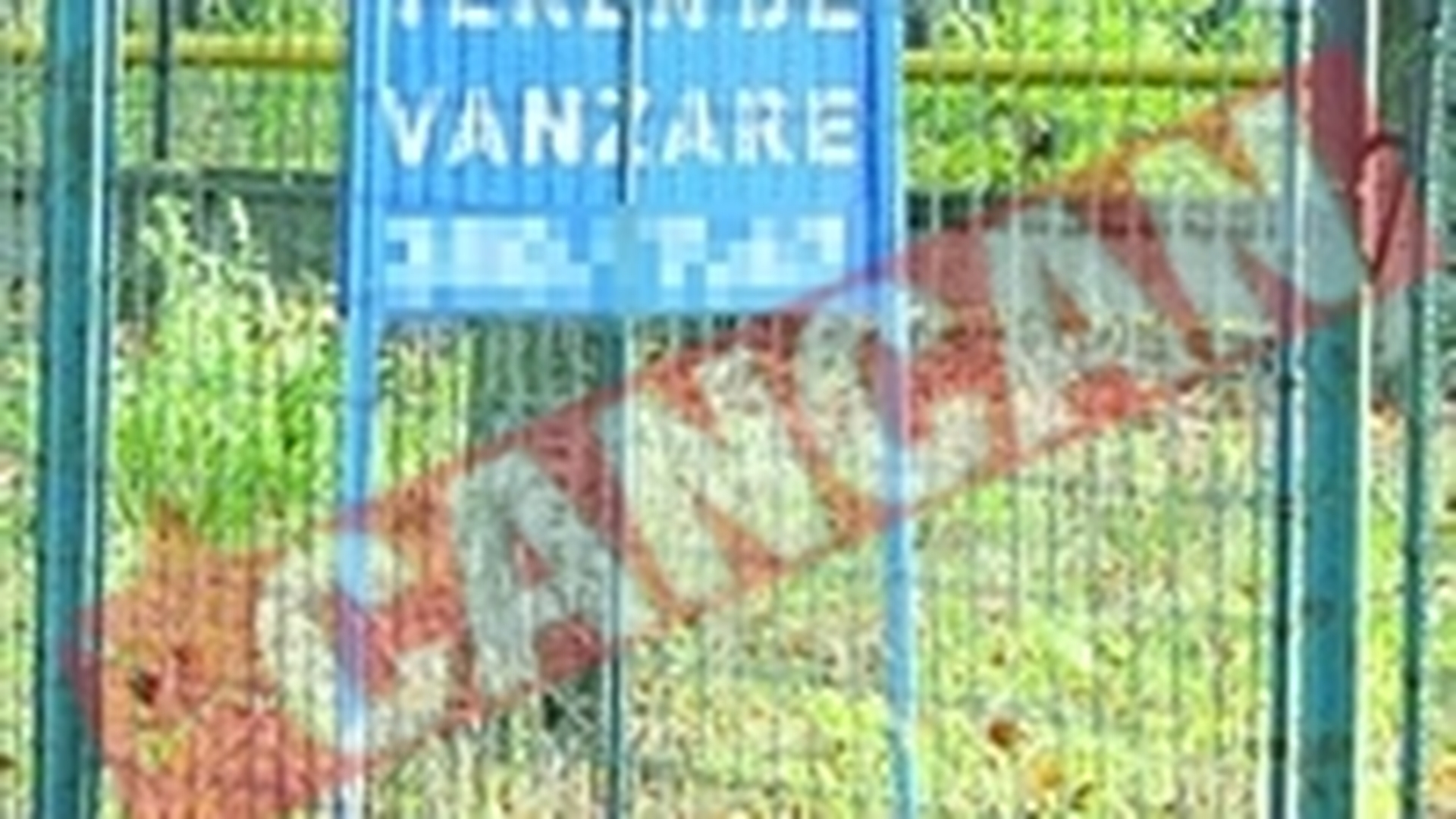 Dictionar de asigurari (IV)