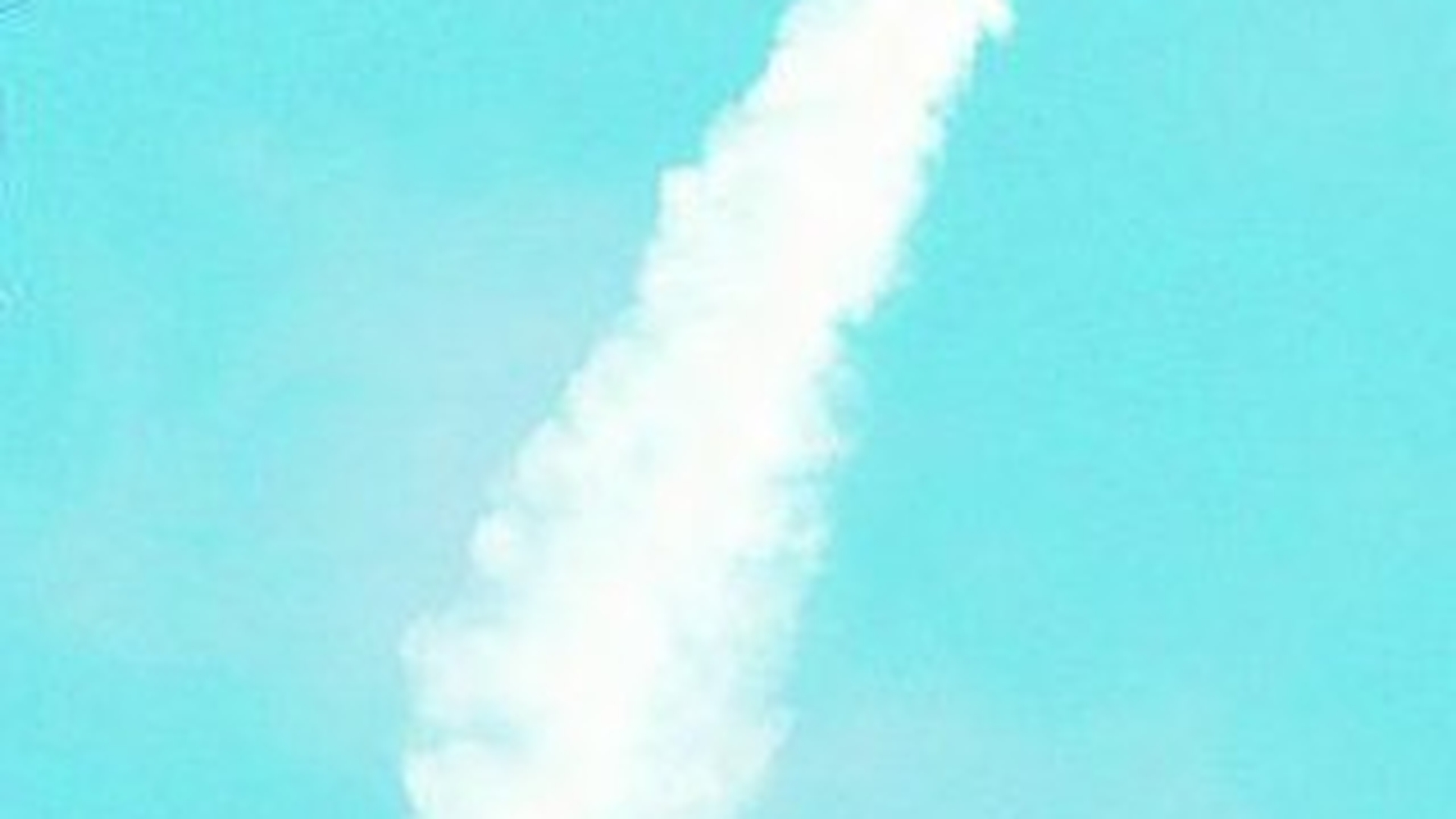 I s-a rupt aripa avionului in zbor