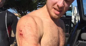 Galerie foto - poza 2