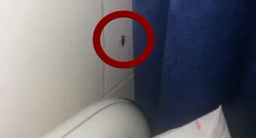 VIDEO REVOLTĂTOR. Copii tratați printre gândaci la Spitalul de Pediatrie din Pitești