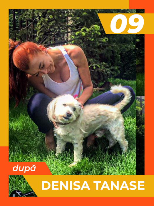 Divele, în toată splendoarea! Înainte și după! TOP 30 sexy-vedete siliconate, în frunte cu Antonia, Delia, Anna Lesko
