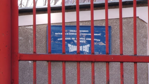 Copilul agresat provine dintr-un centru de plasament