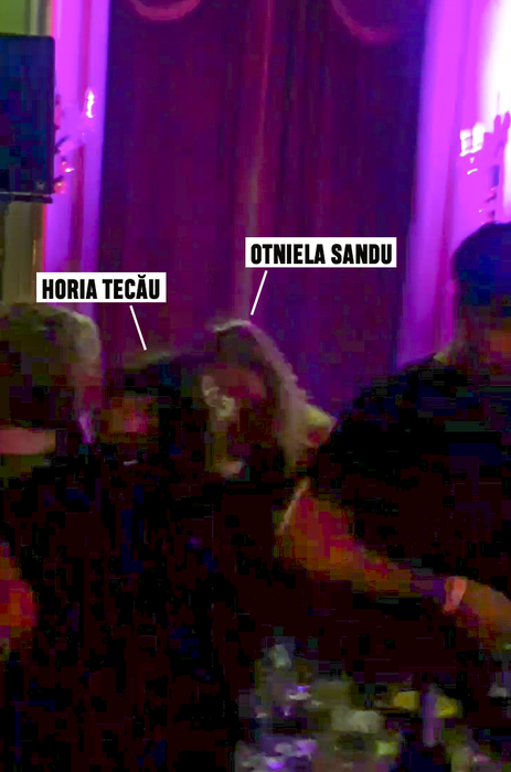 Otniela l-a "flituit" pe Horia Tecău