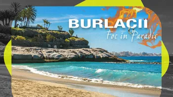 Primele imagini de la „Burlacii: Foc în Paradis” publicate de PRO TV. Ce spun românii: „Mă simt ca-n filmele indiene”