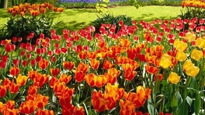 Nu stii ce mesaje sa le trimiti persoanelor dragi de Florii? Citeste aici cateva sugestii!