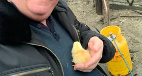 Galerie foto - poza 3