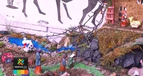 Galerie foto - poza 3