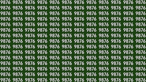 Test de perspicacitate | Găsiți numărul 9786 "pierdut" dintre numerele 9876 din imagine!