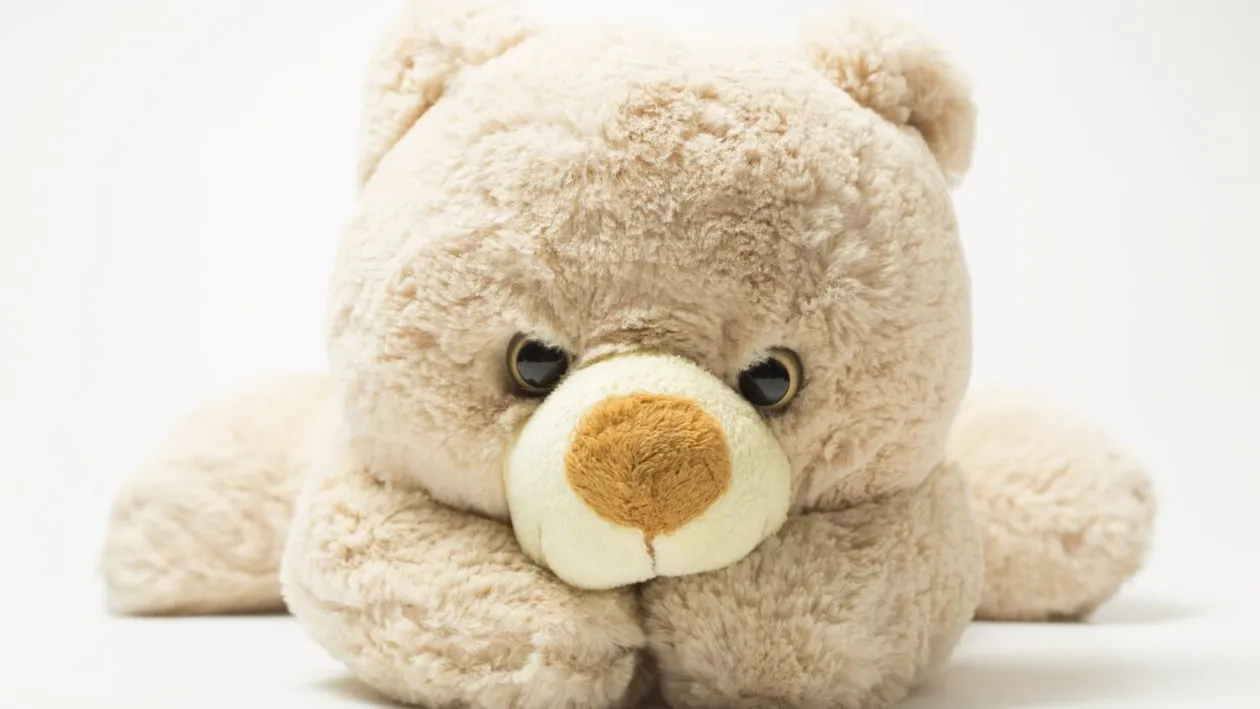 Unde a putut să se ascundă un tânăr căutat pentru furt. Locul incredibil în care a ajuns bărbatul