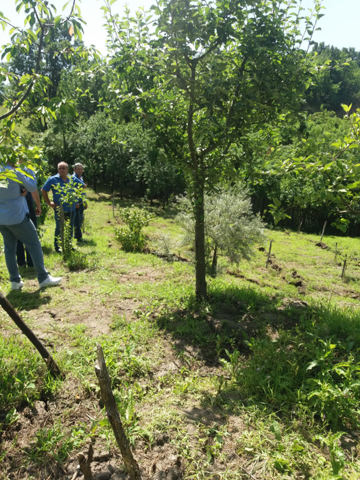 Localnici se tem că alunecarea de teren nu s-a oprit