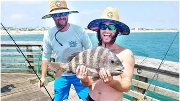 Descoperire rară. Un pește cu dinți umani a fost prins în Carolina de Nord