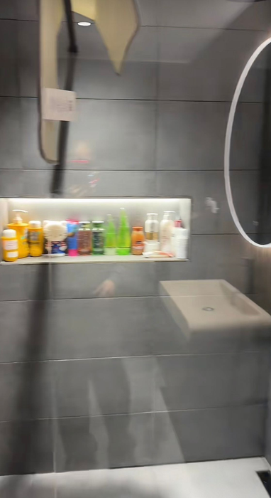 Cum arată casa lui Iorga? Sursă foto: TikTok