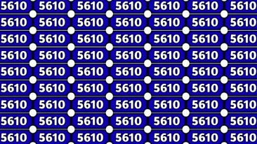 Iluzie optică | Doar cei cu ochi de vultur găsesc numărul diferit din seria de '5610'