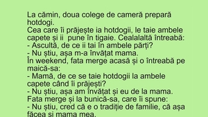 BANCUL ZILEI | La cămin, două colege de cameră prepară hotdogi