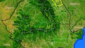 Rezultate Evaluarea Națională 2019 (Capacitate) Botoșani