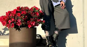 Galerie foto - poza 3