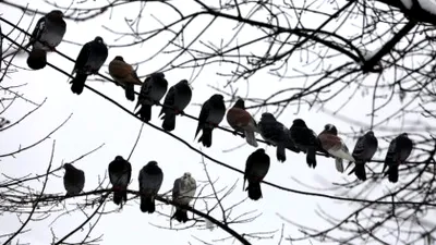 Vremea în România până pe 23 martie: estimările ANM pentru următoarele patru săptămâni