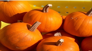 "Ce se vede acolo?" Angajatii aeroportului au INCREMENIT cand au vazut ce era in dovlecii cumparati de o femeie pentru Halloween
