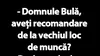 BANC | „Domnule Bulă, aveți recomandare de la vechiul loc de muncă?”