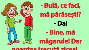 BANC | "Bulă, ce faci, mă părăsești?"