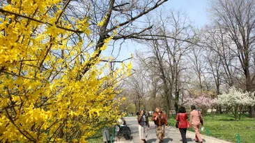 ANM a schimbat radical prognoza: Când vine, de fapt, primăvara în toată România