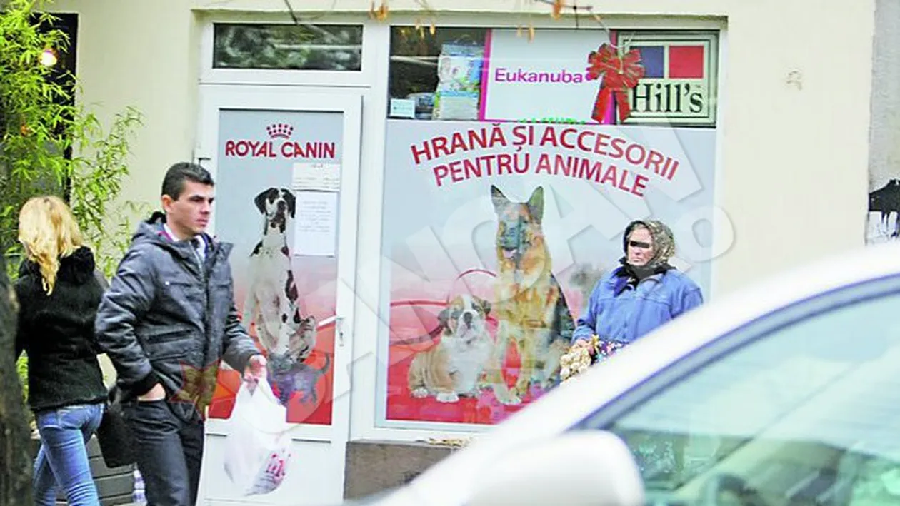 Au trimis o iscoada dupa el. Cainii vor sa se razbune pe Nita dupa 11 ani