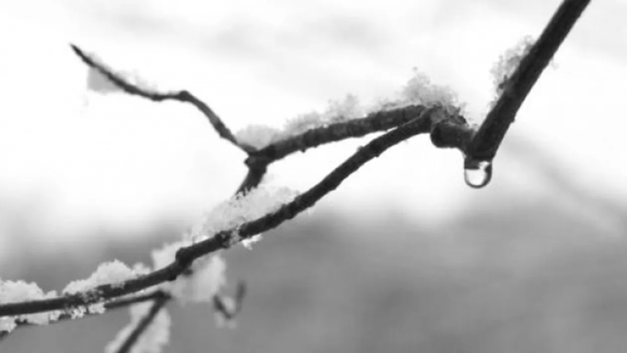 METEO 23 ianuarie! COD GALBEN de ceata, polei si vant puternic.