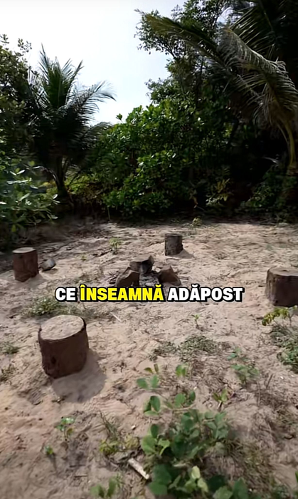 Foto: captură video