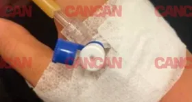 Galerie foto - poza 2