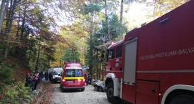 Galerie foto - poza 1