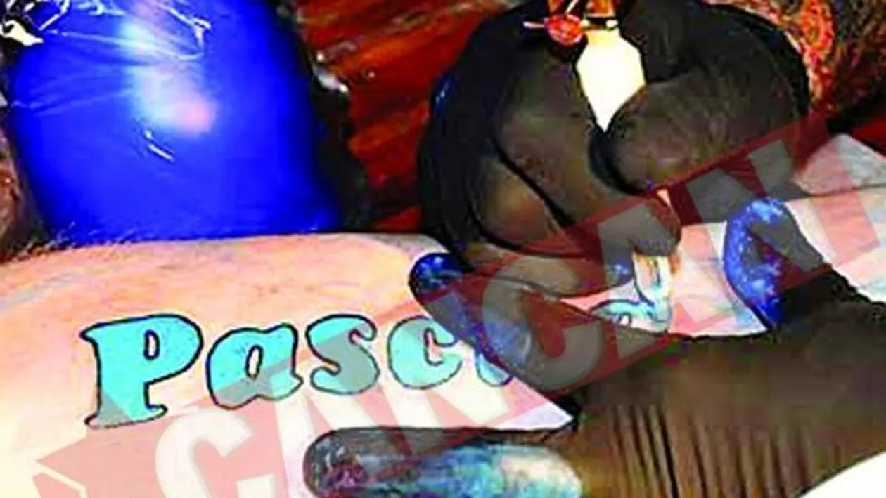 Tatuatii intra gratis la bordel